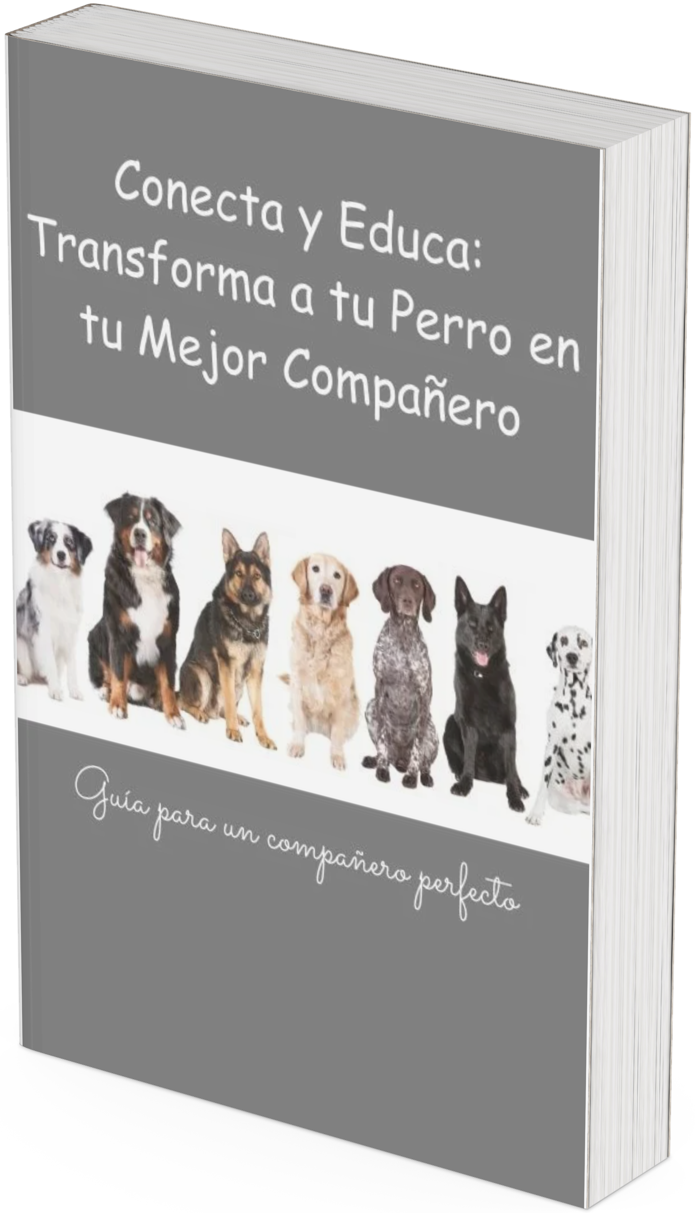 “Conecta y Educa: Transforma a tu Perro en tu Mejor Compañero”